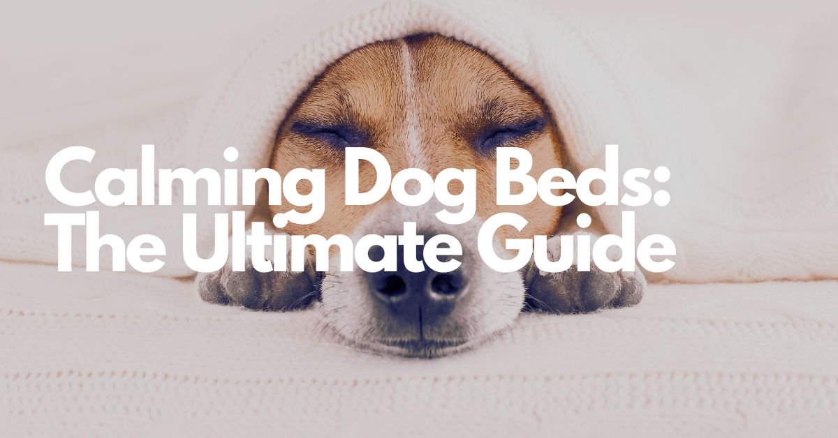 Calming Dog Beds The Ultimate Guide