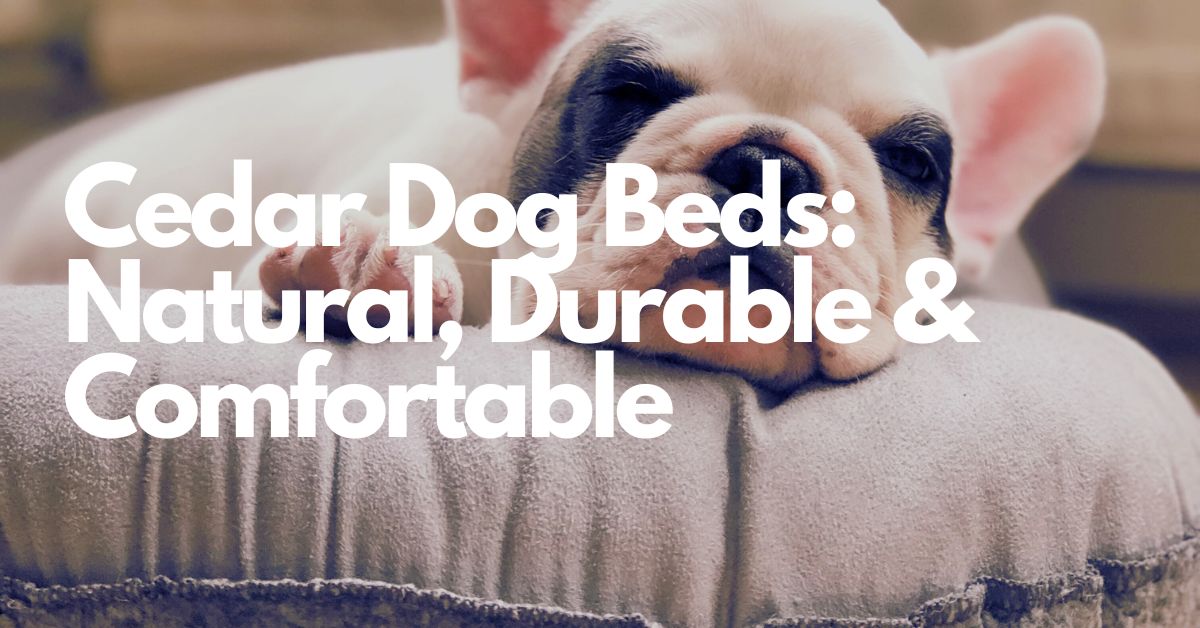 Cedar Dog Beds Natural, Durable & Comfortable